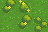 Shrubland good.png