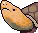 Pond turtle portrait anim.gif