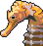 Seahorse portrait.png