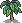 Paradise nut sapling.png