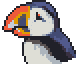Puffin portrait anim.gif