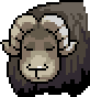 Muskox portrait anim.gif
