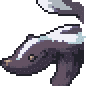 Skunk portrait anim.gif