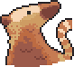 Coati portrait anim.gif