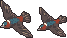 Giant cave swallow sprites.png