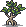 Mangrove sapling.png