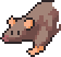 Large rat portrait.png