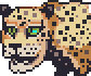 Cheetah portrait.png