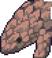 Pangolin portrait anim.gif