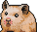 Hamster portrait.png