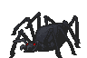 Beast spider, two eyes, antennae.png