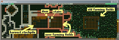 Yayo ducimemal 54 underground farmfields.jpg