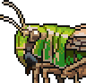 Grasshopper portrait.png