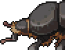 File:Beetle portrait.png