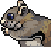 Flying squirrel portrait.png