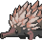 Echidna portrait anim.gif