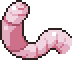 Giant earthworm portrait.png