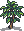 Mahogany sapling.png