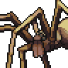 Brown recluse spider portrait.png
