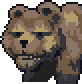 Grizzly bear portrait anim.gif