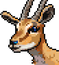 Gazelle portrait anim.gif