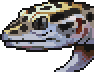 Gecko leopard portrait.png