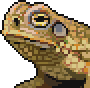 Toad portrait.png