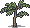 Desert lime sapling.png