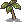 Cashew sapling.png