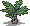 Date palm sapling.png