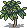 Pecan sapling.png