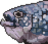 Coelacanth portrait.png