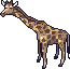 Giant giraffe sprite.png