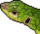 Lizard portrait.png