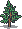 Cedar sapling.png