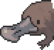 Platypus portrait anim.gif