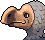 Dodo portrait anim.gif