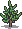 Pine sapling.png