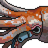 Squid portrait.png