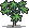 Papaya sapling.png