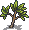 Bayberry sapling.png