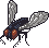 Giant fly sprite.png