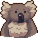 Koala portrait anim.gif