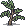 Acacia sapling.png