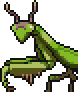 Mantis portrait.png