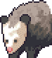 Opossum portrait anim.gif