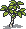 Birch sapling.png