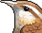 Wren portrait.png