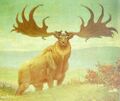 Giant elk.jpg