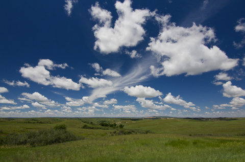 DF2014:Grassland - Dwarf Fortress Wiki